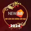 New888c Net – Nạp càng nhiều, nhận tiền thưởng càng lớn